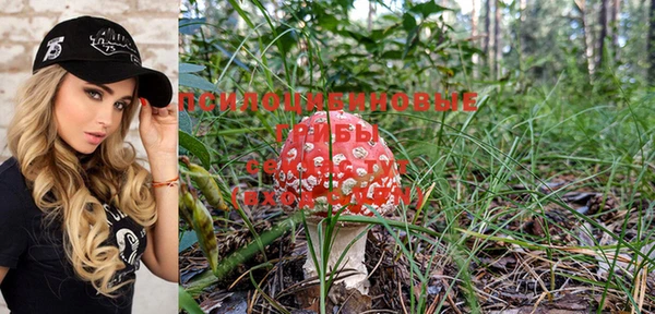 хмурый Навашино