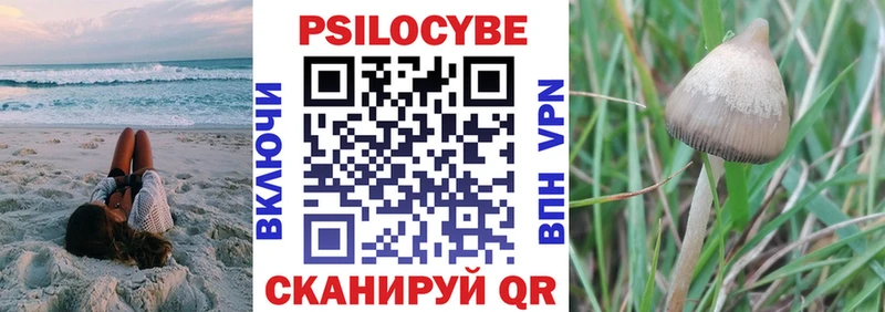 Псилоцибиновые грибы прущие грибы  купить закладку  Сухиничи 